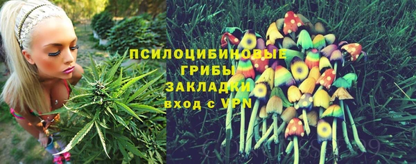 прущий лед Нефтегорск