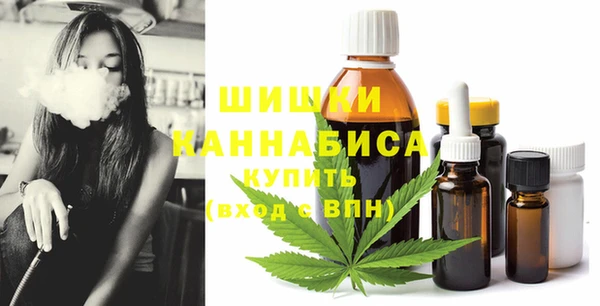мдпв Нея