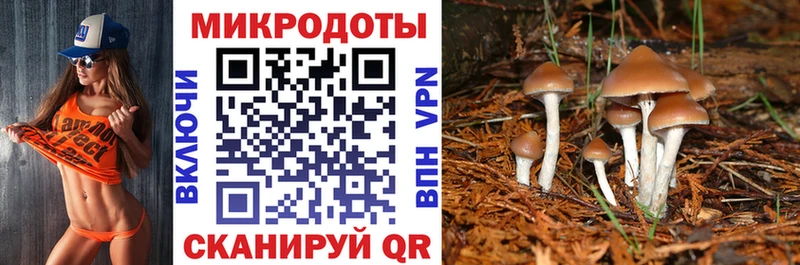 Галлюциногенные грибы мицелий  Севастополь 