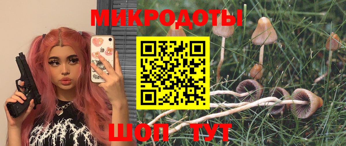 Севастополь  хочу наркоту  Вход с VPN  Псилоцибиновые грибы Cubensis  Псилоцибиновые грибы Psilocybe 